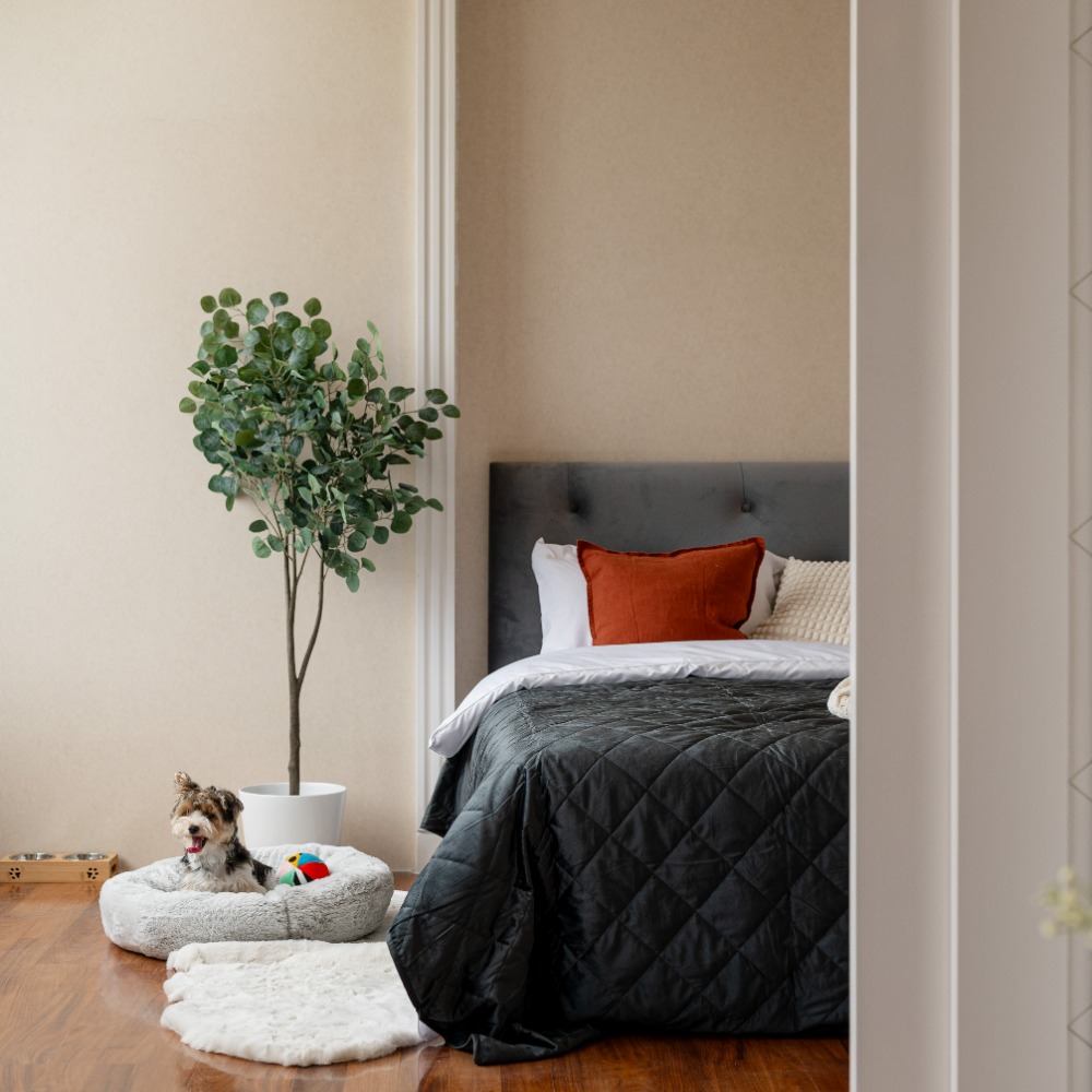 For SaleCondoSukhumvit, Asoke, Thonglor : 🔥🔥 𝙁𝙊𝙍 𝙎𝘼𝙇𝙀 : 𝐀𝐆𝐔𝐒𝐓𝐎𝐍 𝐒𝐮𝐤𝐡𝐮𝐦𝐯𝐢𝐭 𝟐𝟐 , 𝙪𝙡𝙡𝙮 𝙁𝙞𝙩𝙩𝙚𝙙 , 𝟏 𝘽𝙚𝙙 𝟏 𝘽𝙖𝙩𝙝, 𝟓𝟔.𝟐𝟒𝐬𝐪.𝐦., 𝙋𝙧𝙞𝙘𝙚 𝟕.𝟗𝟗 𝙈𝘽 Contact Mr. Nat 𝟎𝟗𝟓𝟗𝟒𝟏𝟓𝟗𝟗𝟗