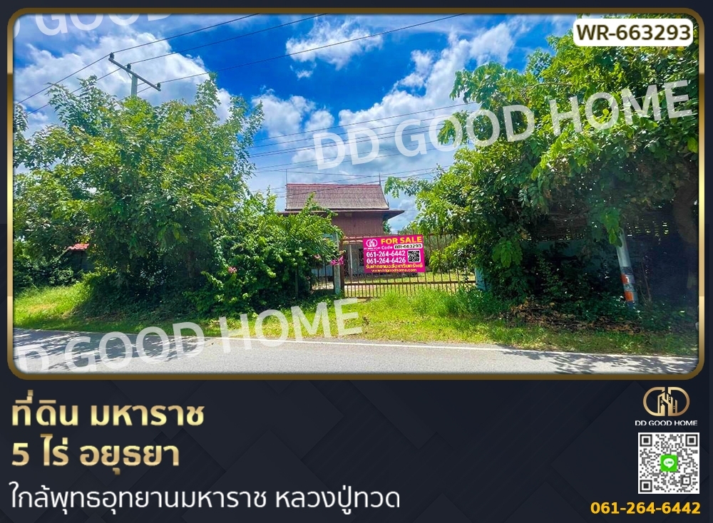For SaleLandAyutthaya : Land, 5 rai, Ayutthaya, near Maharat Buddhist Park, Luang Pu Thuat