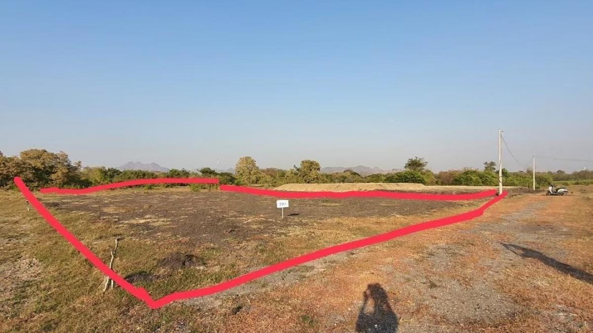 For SaleLandLop Buri : Last 4 plots!! Beautiful land for sale, palm forest, in Lopburi city, Soi Phra Piya 5/4, near Vienna Rai circle, complete water and electricity, suitable for various businesses/building a house to live in