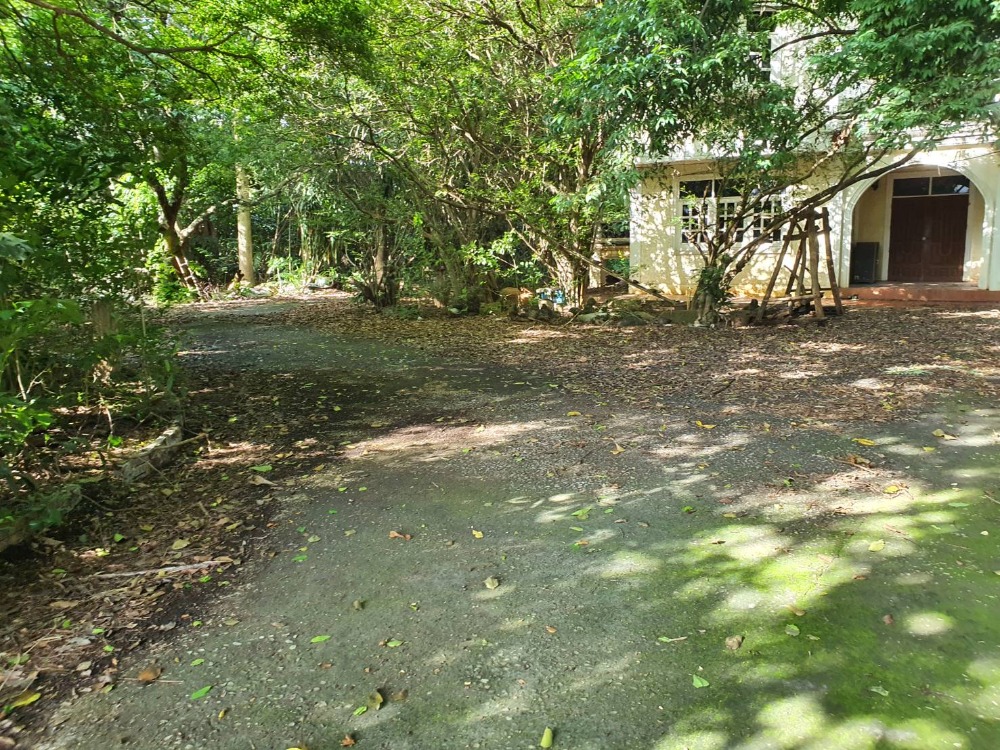 ขายบ้านสระบุรี : ขายบ้านเดี่ยว 2 ชั้น พร้อมที่ดิน 4 ไร่เศษ ติดถนนใหญ่สุวรรณศร บ้านลำ วิหารแดง สระบุรี