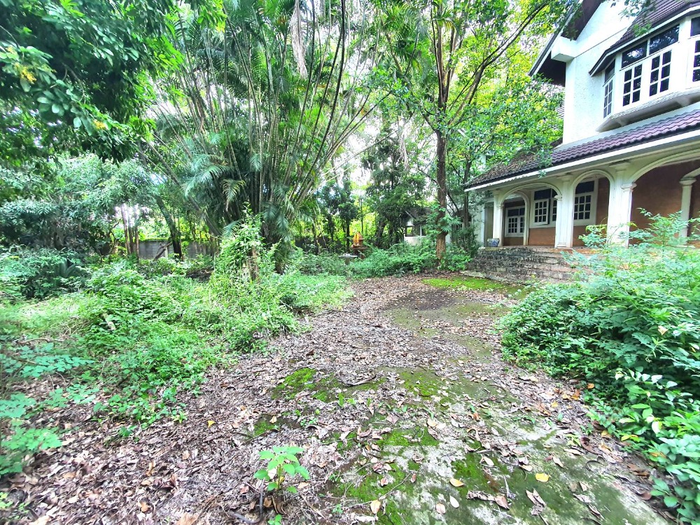 ขายบ้านสระบุรี : ขายบ้านเดี่ยว 2 ชั้น พร้อมที่ดิน 4 ไร่เศษ ติดถนนใหญ่สุวรรณศร บ้านลำ วิหารแดง สระบุรี