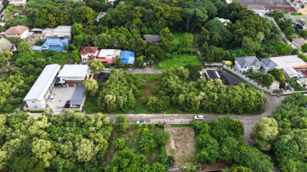 ขายที่ดินพุทธมณฑล ศาลายา : ขายที่ดินแปลงสวย เพียง 5นาทีถึงตลาดสดธนบุรี แปลงรูปสี่เหลี่ยมผืนผ้า ติดถนน 2 ด้าน 544ตร.วา. เข้าออกได้ทั้งจาก บรม64 และ ศาลาธรรมสพน์12