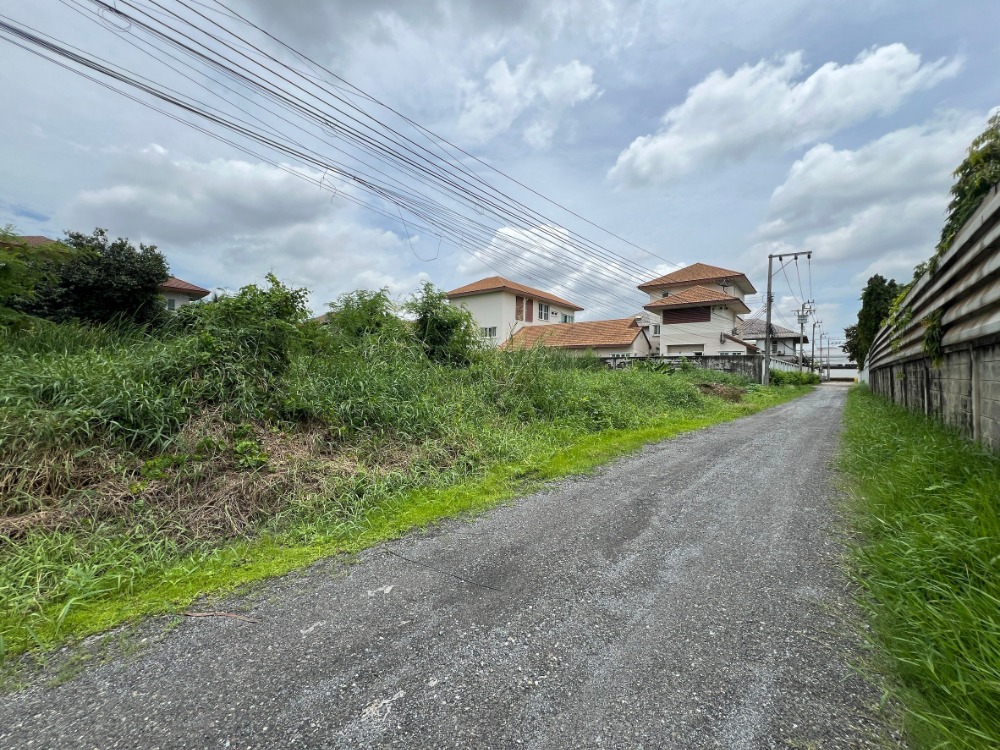 For SaleLandChaengwatana, Muangthong : Land Chaengwattana 43 / (SALE), Land Chaengwattana 43 / (SALE) GAMET510