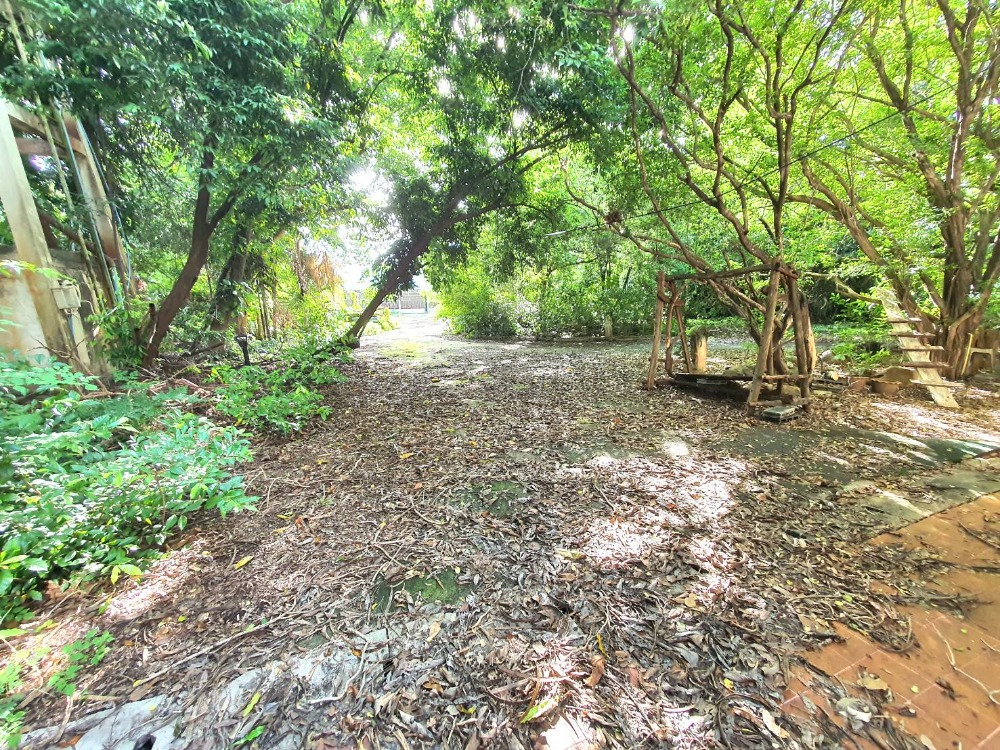 ขายบ้านสระบุรี : ขายบ้านเดี่ยว 2 ชั้น พร้อมที่ดิน 4 ไร่เศษ ติดถนนใหญ่สุวรรณศร บ้านลำ วิหารแดง สระบุรี