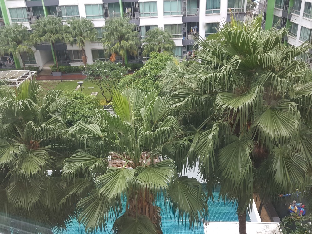 For RentCondoOnnut, Udomsuk : Walking distance to BTS Punnawith  Big size  Friendly price