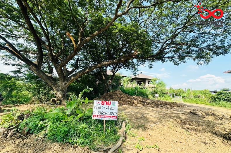 For SaleLandAyutthaya : Land for sale, 264 square wah, Nakhon Luang District, Phra Nakhon Si Ayutthaya