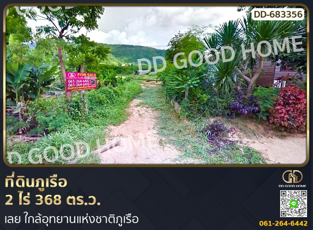 For SaleLandLoei : Phu Ruea land 2 rai 368 sq w. Loei