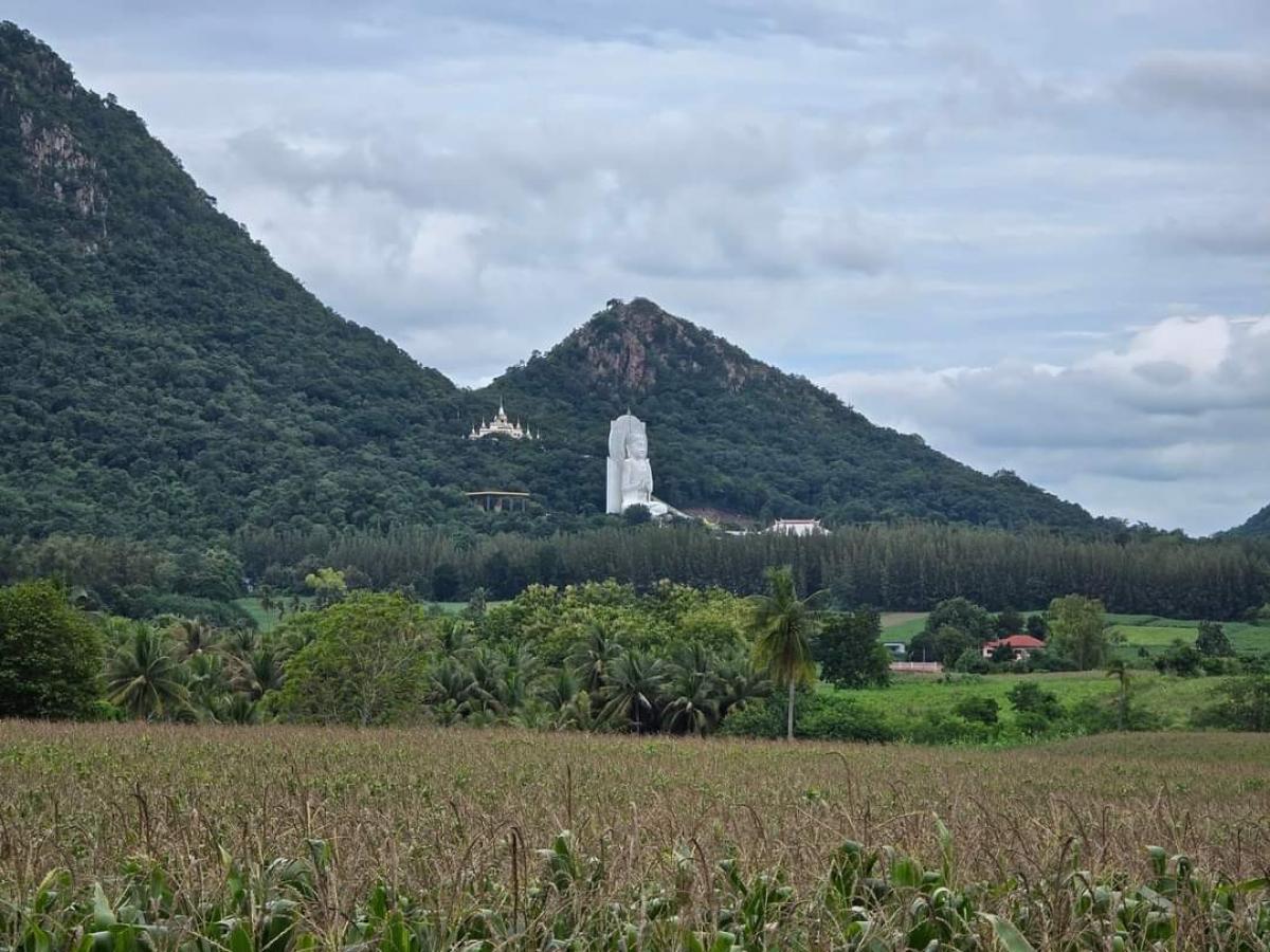 ขายที่ดินลพบุรี : ขายที่ดิน โฉนดแปลงสวย ที่ดินบนเนินเขา วิวสวย ชัยบาดาล-ลพบุรี