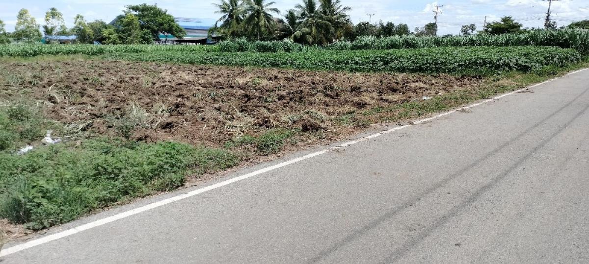 For SaleLandKanchanaburi : Express Land for sale in Tha Maka, Kanchanaburi Province