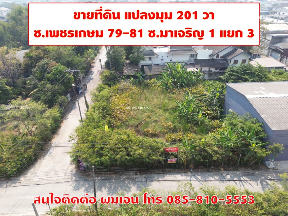 ขายที่ดินบางแค เพชรเกษม : ขายที่ดินสวย แปลงมุม 201 ตรว. ระหว่างซอยเพชรเกษม 79-81 ราคาดีมากๆ ที่ดินเข้าจากถนนเพชรเกษม เพียง 700 เมตร เท่านั้น ทำเลดีมากๆ