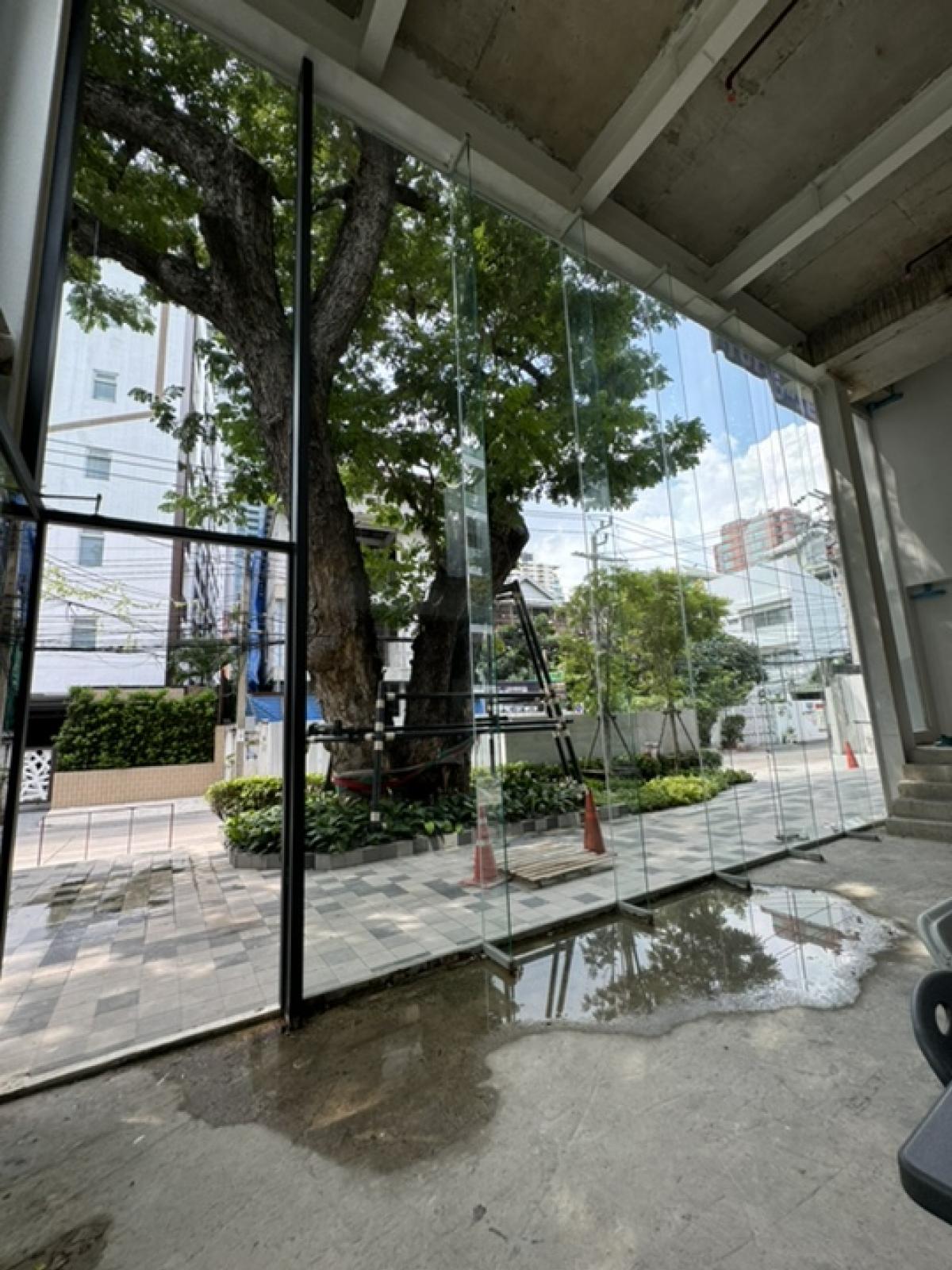 ให้เช่าร้านค้า/ตลาดนัดสุขุมวิท อโศก ทองหล่อ : Rental : Commercials Shop Prompong , 180 sqm , 2 Storeys , 180 sqm ปล่อยเช่า Shop 2 ชั้น เหมาะทำร้าน กาแฟ , ร้านอาหาร , 180 ตรม 🔥🔥Rental Price : 190,000 THB 🔥🔥More Information📱Tel : 061-9979915 / Kat📱Line : 061-9979915