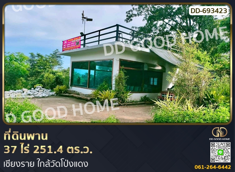 For SaleLandChiang Rai : Phan land 37 rai 251.4 sq w. Chiang Rai near Wat Pong Daeng