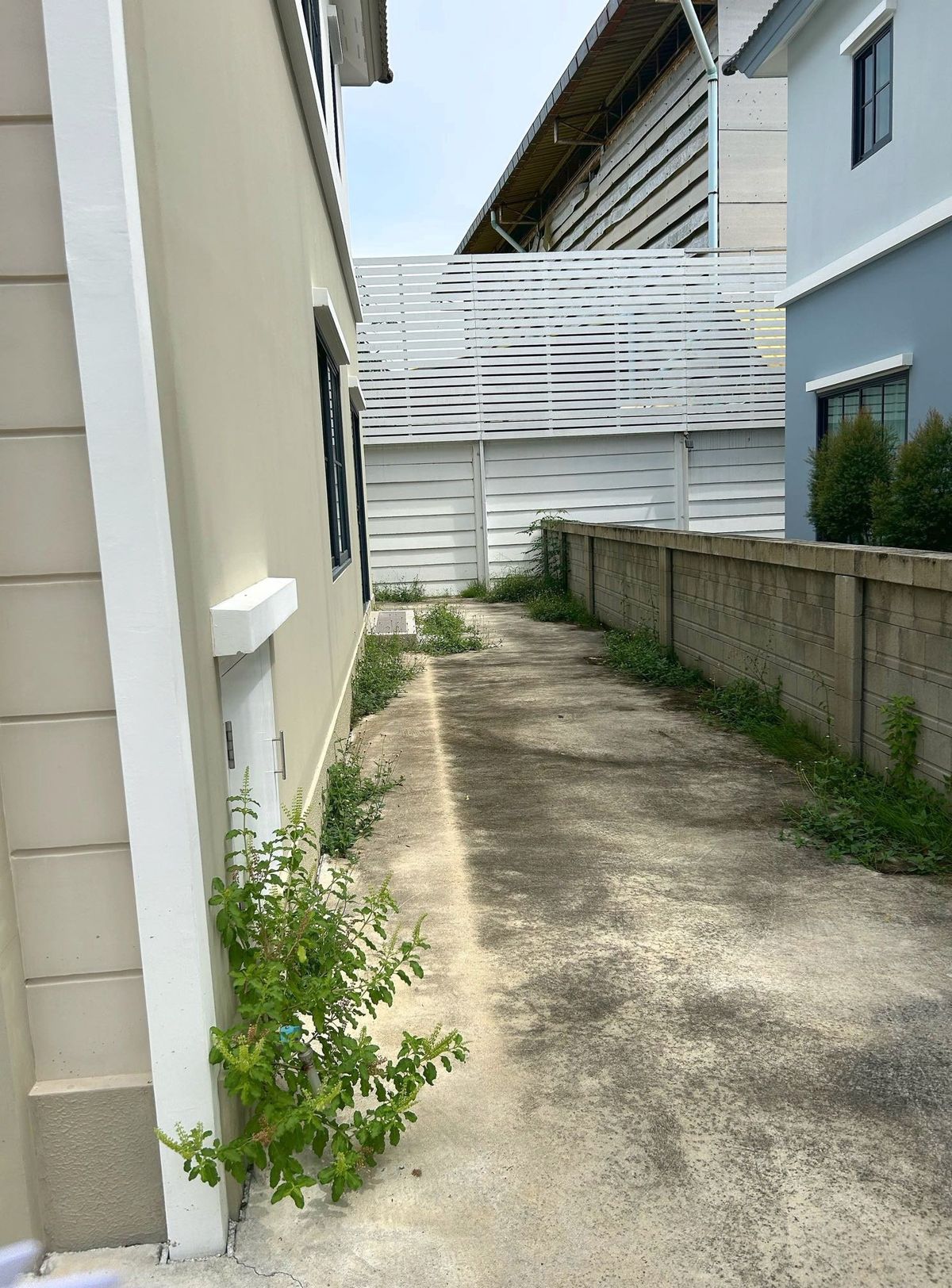 ขายบ้านพระราม 2 บางขุนเทียน : บ้านเดี่ยว สิวารมณ์ เนเจอร์ พลัส พระราม2 บางขุนเทียน กรุงเทพ 52.20 ตร.ว. 4นอน 3น้ำ