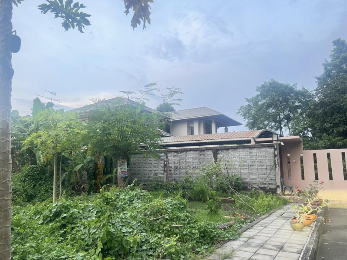 For SaleLandYothinpattana,CDC : Land for sale near the Expressway Yothin Phatthana 3