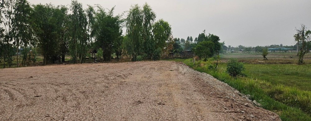 ขายที่ดินอุดรธานี : ที่ดิน8ไร่ ใกล้สนามบินอุดร เพียง2นาที หลังบิ๊กซีนาดี แปลงสวยหน้ากว้าง