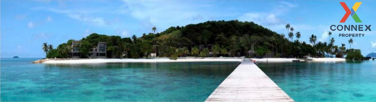 ขายที่ดินตราด : ขายที่ดิน 10 ไร่ เกาะขาม เกาะหมาก เกาะกูด ตราด CX-105050