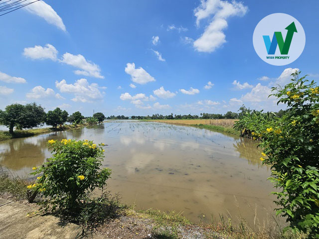 For SaleLandSuphan Buri : Land for sale, Sam Chuk District, Suphan Buri, good location, near Sam Chuk Market, 100 years old