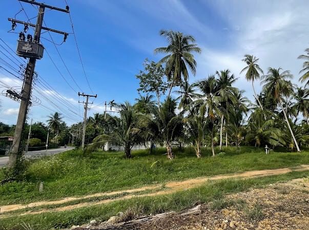 ขายที่ดินหัวหิน ประจวบคีรีขันธ์ : ขาย ที่ดิน 3++ ไร่ ต.ธงชัย อ.บางสะพาน จ.ประจวบคีรีขันธ์