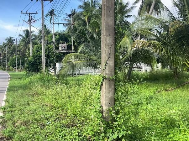 ขายที่ดินหัวหิน ประจวบคีรีขันธ์ : ขาย ที่ดิน 3++ ไร่ ต.ธงชัย อ.บางสะพาน จ.ประจวบคีรีขันธ์