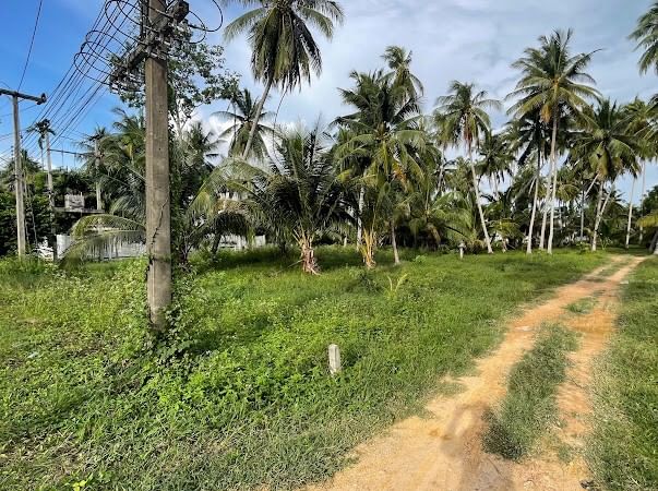 ขายที่ดินหัวหิน ประจวบคีรีขันธ์ : ขาย ที่ดิน 3++ ไร่ ต.ธงชัย อ.บางสะพาน จ.ประจวบคีรีขันธ์