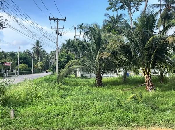 ขายที่ดินหัวหิน ประจวบคีรีขันธ์ : ขาย ที่ดิน 3++ ไร่ ต.ธงชัย อ.บางสะพาน จ.ประจวบคีรีขันธ์