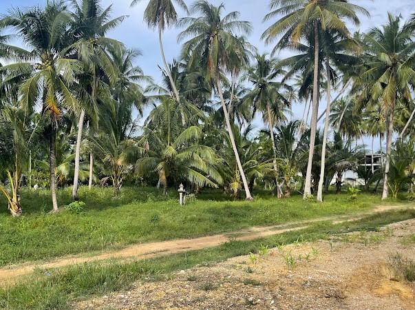 ขายที่ดินหัวหิน ประจวบคีรีขันธ์ : ขาย ที่ดิน 3++ ไร่ ต.ธงชัย อ.บางสะพาน จ.ประจวบคีรีขันธ์