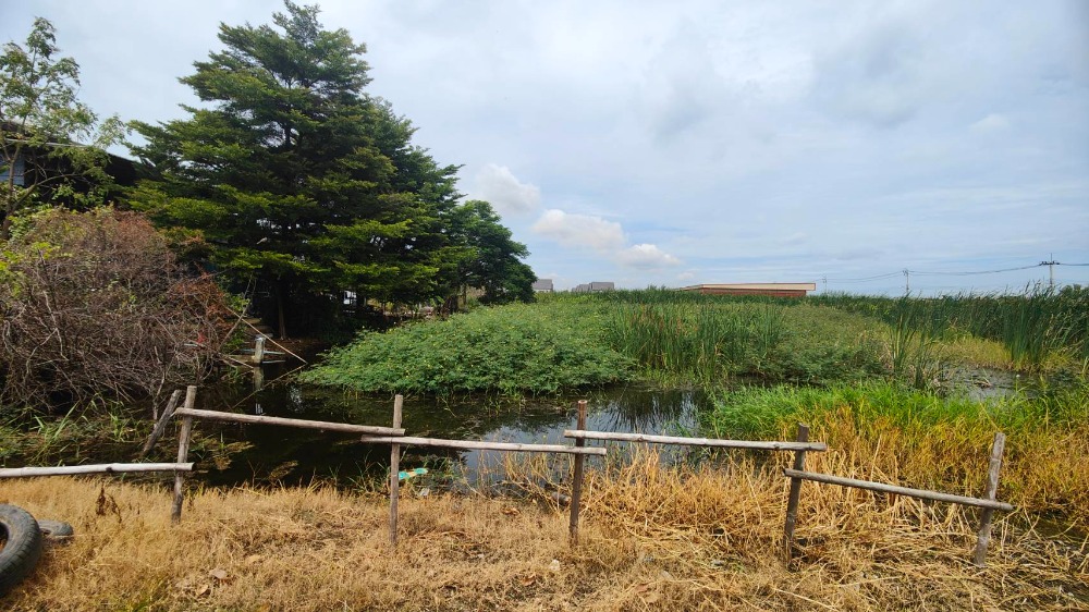 For SaleLandNawamin, Ramindra : Land for sale, Sukhaphiban 5, Soi 32