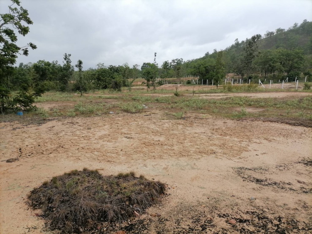 For SaleLandTak : Urgent sale, empty land, good location, mountain view, near the main road with title deeds