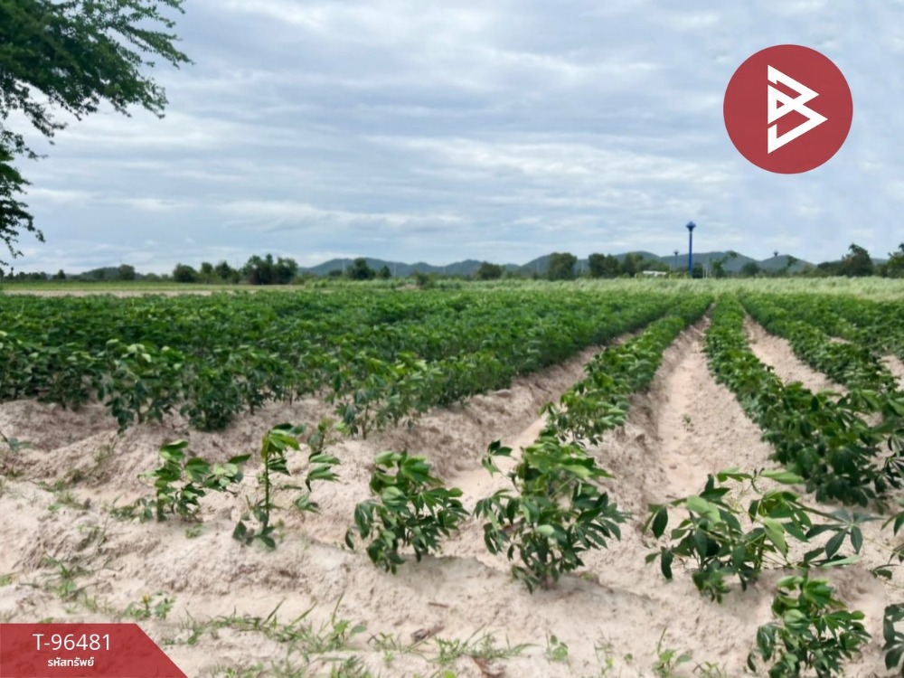 For SaleLandRatchaburi : Land for sale, area 2 rai 72.9 sq.wa, Ban Pong, Ratchaburi