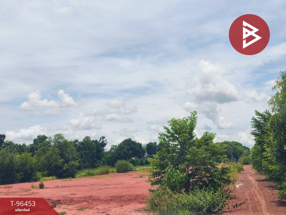 For SaleLandSurin : Land for sale, filled in, area 1 ngan, Chaniang, Surin