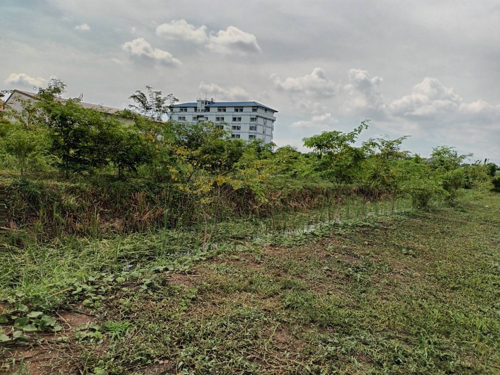 For SaleLandAyutthaya : Land for sale at Pratunam Phra In, beautiful plot, near government offices