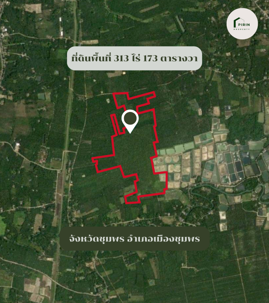 For SaleLandChumphon : Land for sale with entire palm plantation, 313 rai, cheap price!!!