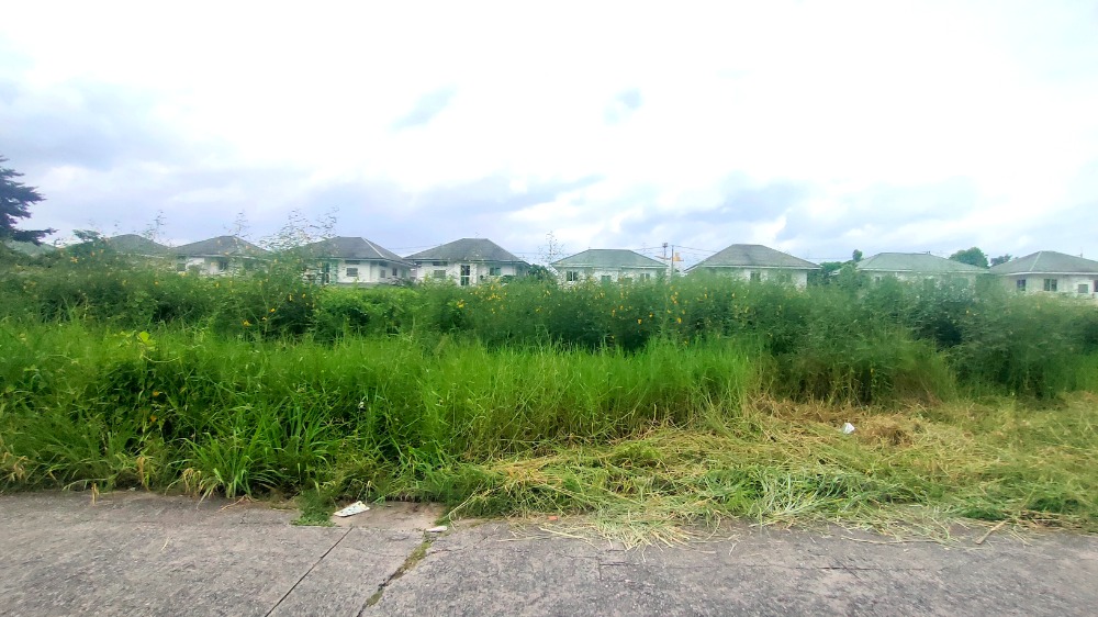 ขายที่ดินมีนบุรี-ร่มเกล้า : ที่ดินถมแล้ว, แปลงสวย, ติดถนนคอนกรีต, ทำเลดี, 1-3-56.7 ไร่, ถนนร่มเกล้า มีนบุรี กรุงเทพ, อยู่ใกล้ชุมชน และ โครงการหมู่บ้าน, อยู่ในโซนผังสีเหลือง ทำธุรกิจได้หลายประเภท