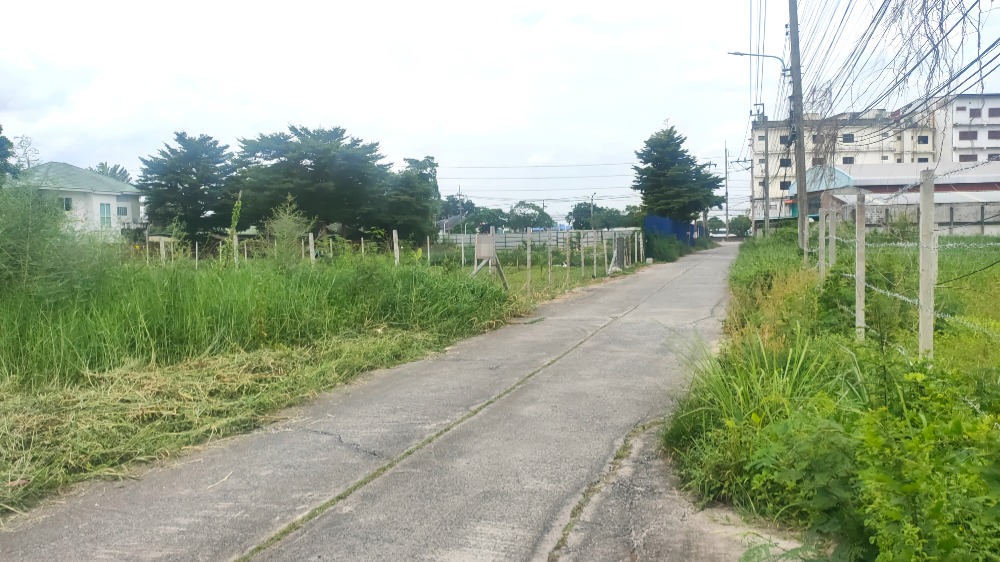 ขายที่ดินมีนบุรี-ร่มเกล้า : ที่ดินถมแล้ว, แปลงสวย, ติดถนนคอนกรีต, ทำเลดี, 1-3-56.7 ไร่, ถนนร่มเกล้า มีนบุรี กรุงเทพ, อยู่ใกล้ชุมชน และ โครงการหมู่บ้าน, อยู่ในโซนผังสีเหลือง ทำธุรกิจได้หลายประเภท