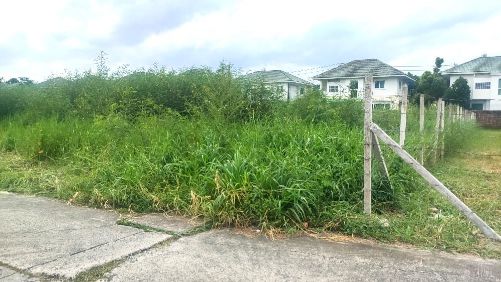 ขายที่ดินมีนบุรี-ร่มเกล้า : ที่ดินถมแล้ว, แปลงสวย, ติดถนนคอนกรีต, ทำเลดี, 1-3-56.7 ไร่, ถนนร่มเกล้า มีนบุรี กรุงเทพ, อยู่ใกล้ชุมชน และ โครงการหมู่บ้าน, อยู่ในโซนผังสีเหลือง ทำธุรกิจได้หลายประเภท