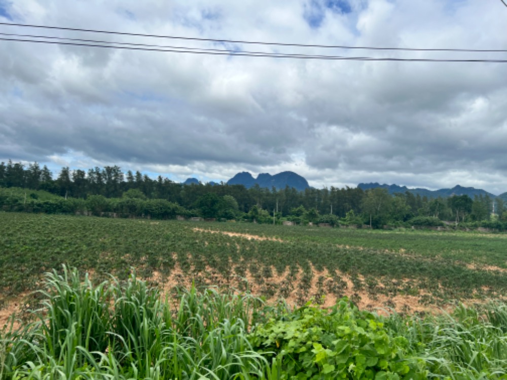 For SaleLandKanchanaburi : Kanchanaburi