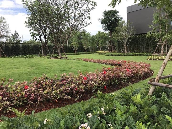 ขายบ้านแจ้งวัฒนะ เมืองทอง : ✨ บ้านเดี่ยวหรู ราชพฤกษ์ แต่งครบ พร้อมอยู่ พื้นที่ใหญ่