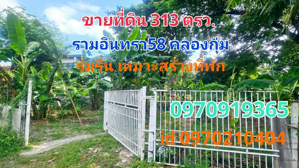 ขายที่ดินเสรีไทย-นิด้า : ขาย ที่ดิน รามอินทรา58 313 ตร.วา บรรยากาศร่มรื่น ส่วนตัว คลองกุ่ม กทม.