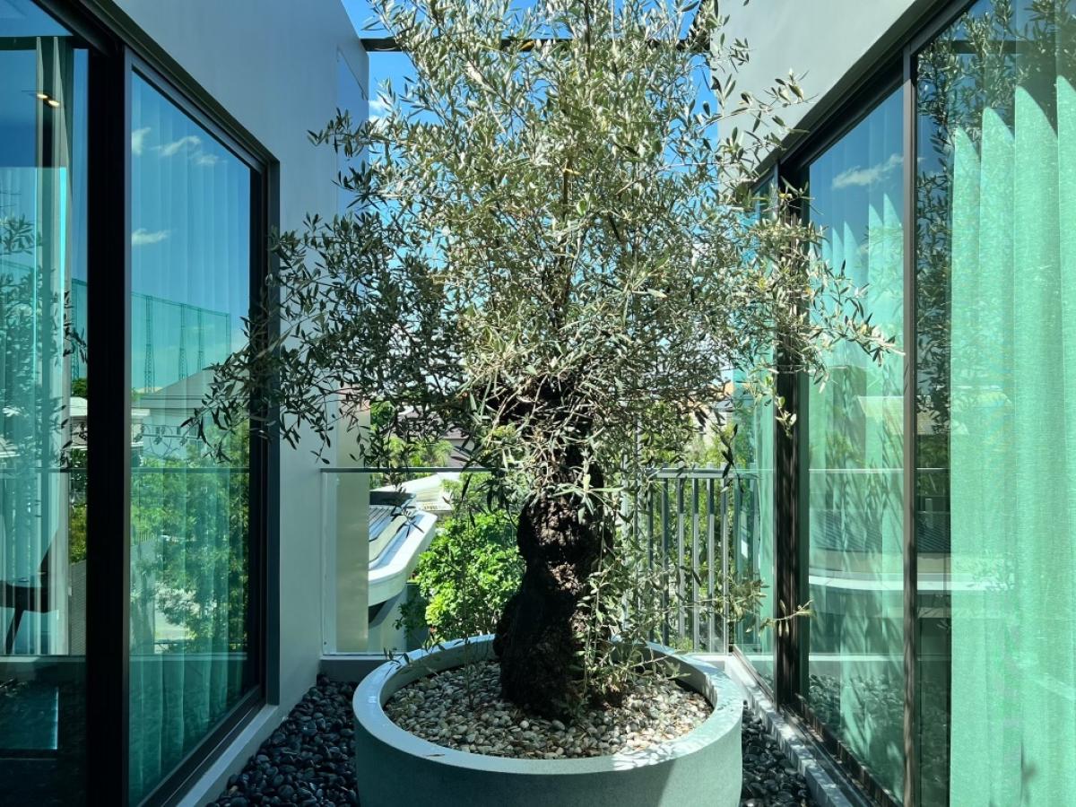 ขายบ้านเลียบทางด่วนรามอินทรา : 📍𝐇𝐎𝐓 𝐃𝐄𝐀𝐋 95E1 (ไนน์ตี้ไฟว์ อีสต์วัน )| 842 Sq.m | 4 Bed 7 Bath | 90,000,000 M.| Contact 086-795-9997 (จิมมี่)