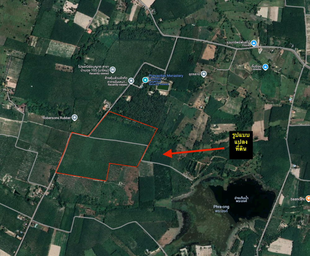 ขายที่ดินอุดรธานี : 🔥ขายด่วน ไร่ละ 260,000 บาท ราคาดีมาก 🔥 ทึ่ดิน 189 ไร่ มีต้นยางปลูกไว้ (15,000 ต้น) ถนนดำ + ถนนปูน อายุต้นยาง  9 ปี โฉนดครุฑแดง อุดดรธานี บ้านดุง