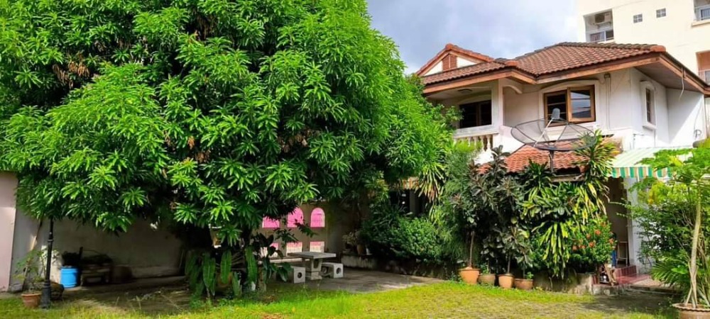 ขายบ้านพระราม 8 สามเสน ราชวัตร : Owner Post ขายบ้านพร้อมที่ดินเขตพระราชฐาน ที่ส่วนบุคคล น้ำไม่เคยท่วม