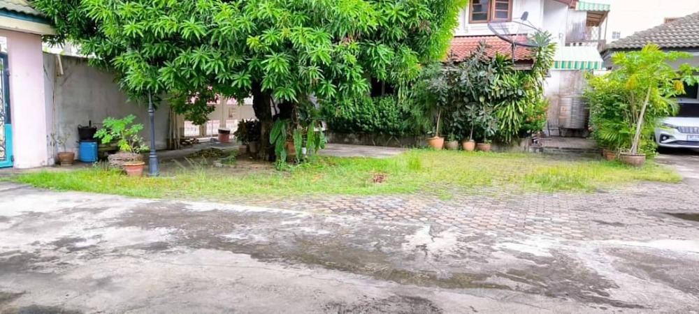 ขายบ้านพระราม 8 สามเสน ราชวัตร : Owner Post ขายบ้านพร้อมที่ดินเขตพระราชฐาน ที่ส่วนบุคคล น้ำไม่เคยท่วม