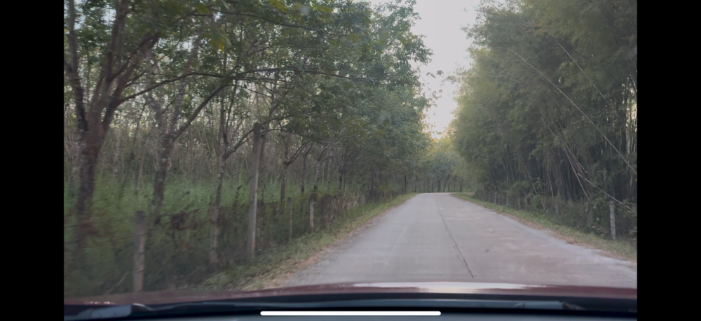 ขายที่ดินอุดรธานี : 🔥ขายด่วน ไร่ละ 260,000 บาท ราคาดีมาก 🔥 ทึ่ดิน 189 ไร่ มีต้นยางปลูกไว้ (15,000 ต้น) ถนนดำ + ถนนปูน อายุต้นยาง  9 ปี โฉนดครุฑแดง อุดดรธานี บ้านดุง