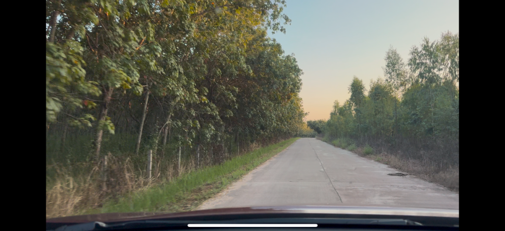 ขายที่ดินอุดรธานี : 🔥ขายด่วน ไร่ละ 260,000 บาท ราคาดีมาก 🔥 ทึ่ดิน 189 ไร่ มีต้นยางปลูกไว้ (15,000 ต้น) ถนนดำ + ถนนปูน อายุต้นยาง  9 ปี โฉนดครุฑแดง อุดดรธานี บ้านดุง