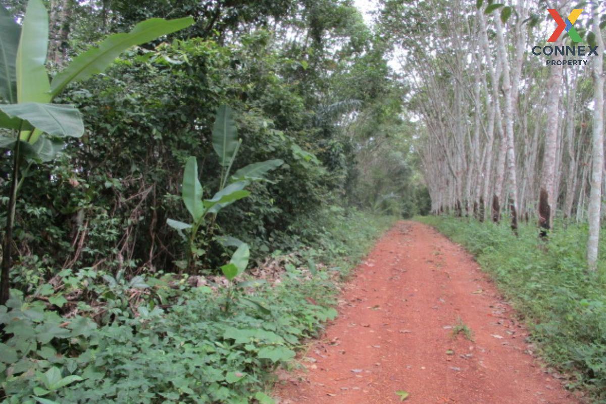 For SaleLandKoh Samui, Surat Thani : For Sale Vacant land Surat Thani , Nam Hak , Khiri Rat Nikhom , Surat Thani , CX-107685