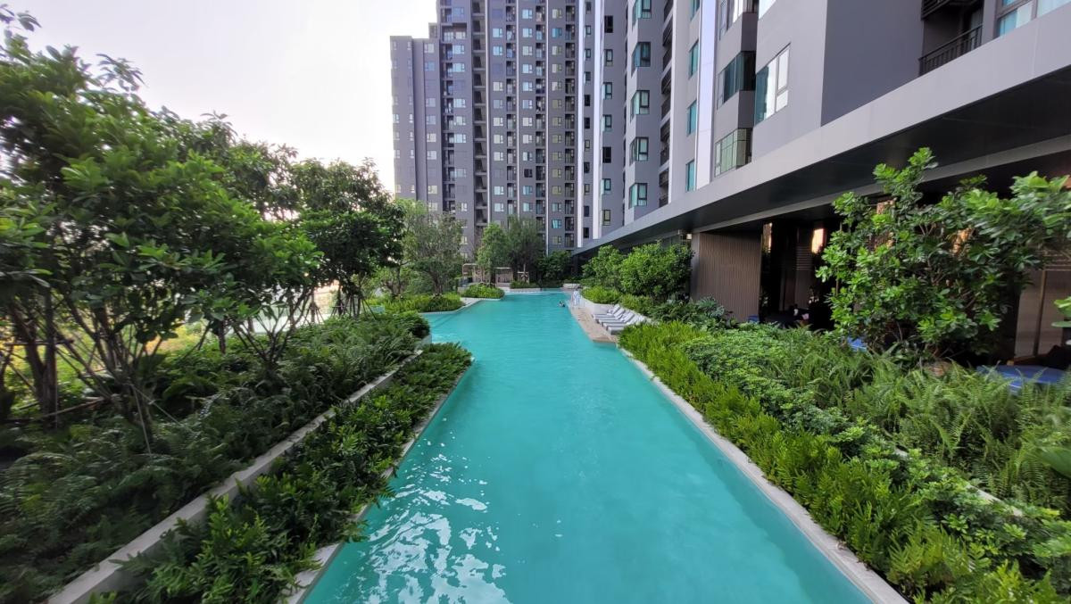 For SaleCondoThaphra, Talat Phlu, Wutthakat : For Sale Condo , Life Sathorn Sierra , BTS-Talat Phlu , Talat Phlu , Thon Buri , Bangkok , CX-78571