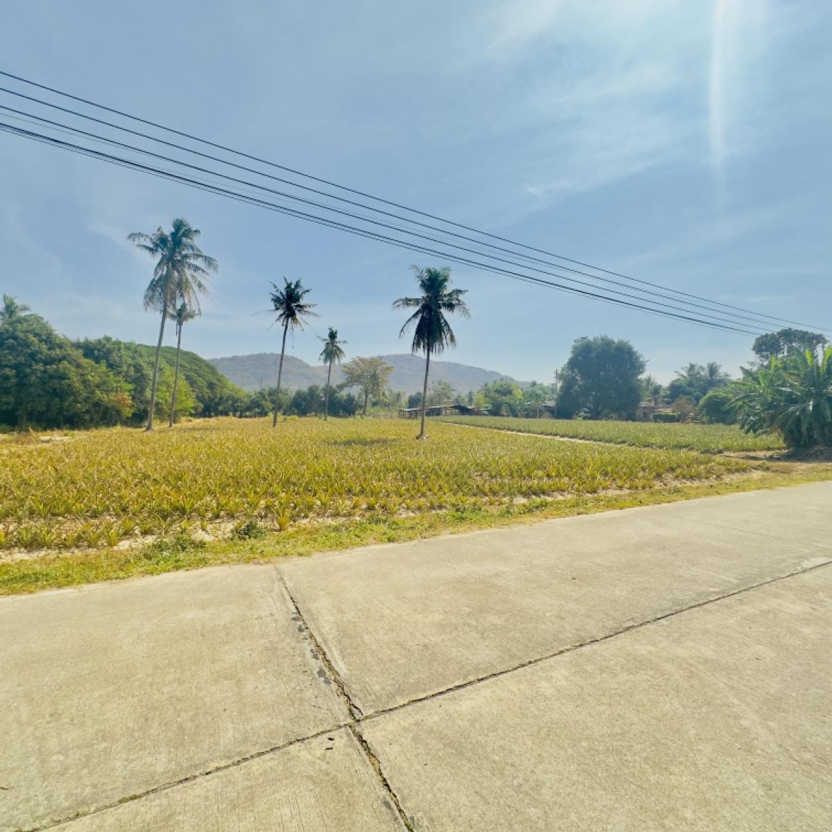 For SaleLandHuahin, Prachuap Khiri Khan, Pran Buri : Land for sale, mountain view, near the sea, area 6-3-51.3 rai, on two sides of the road, Pran Buri Subdistrict, Pran Buri District, Prachuap Khiri Khan Province