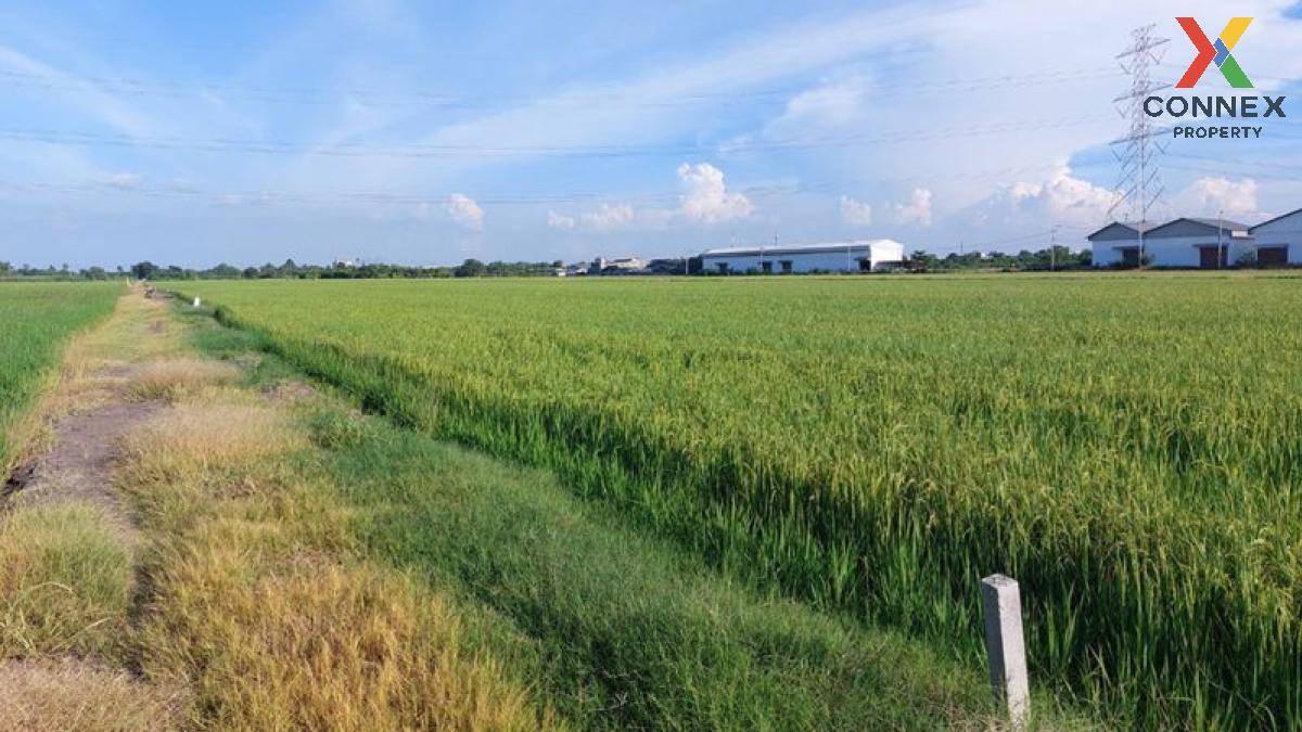 For SaleLandNonthaburi, Bang Yai, Bangbuathong : For Sale Land for sale  Sai Noi District 150 meters from the main road. , Rat Niyom , Sai Noi , Nonthaburi , CX-108768