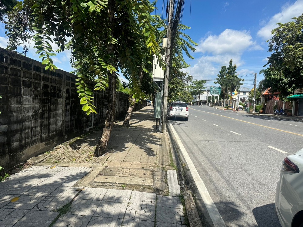 ขายที่ดินพัฒนาการ ศรีนครินทร์ : ขายที่ดินใกล้รถไฟฟ้า ใกล้ซีคอน ใกล้พาราไดซ์ เข้าซอยพาราไดศ์เพียง 500 เมตร