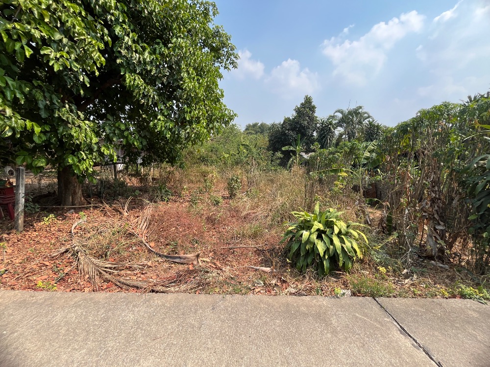 Land for sale, filled in, only 50 meters from Highway No. 2, Mittraphap
